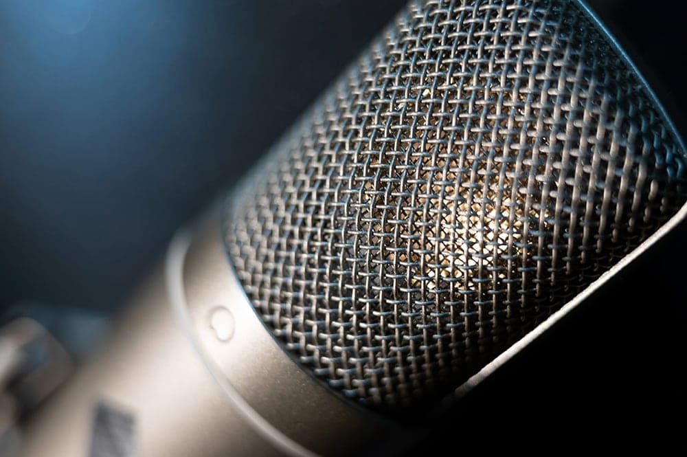 Close-up of the WeissKlang V17 microphone grille